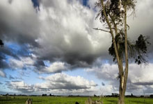 开云官网-皇马新帅调整阵容拿下关键三分，冲击联赛榜首